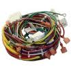 Raypak Professional Wire Harness | 013817F